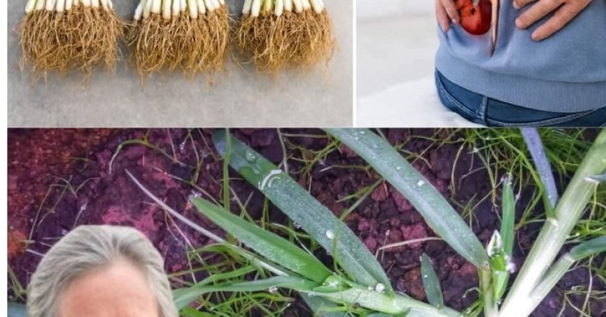 Ancient Herbal Infusion to Cleanse Your Kidneys and Eliminate Toxins