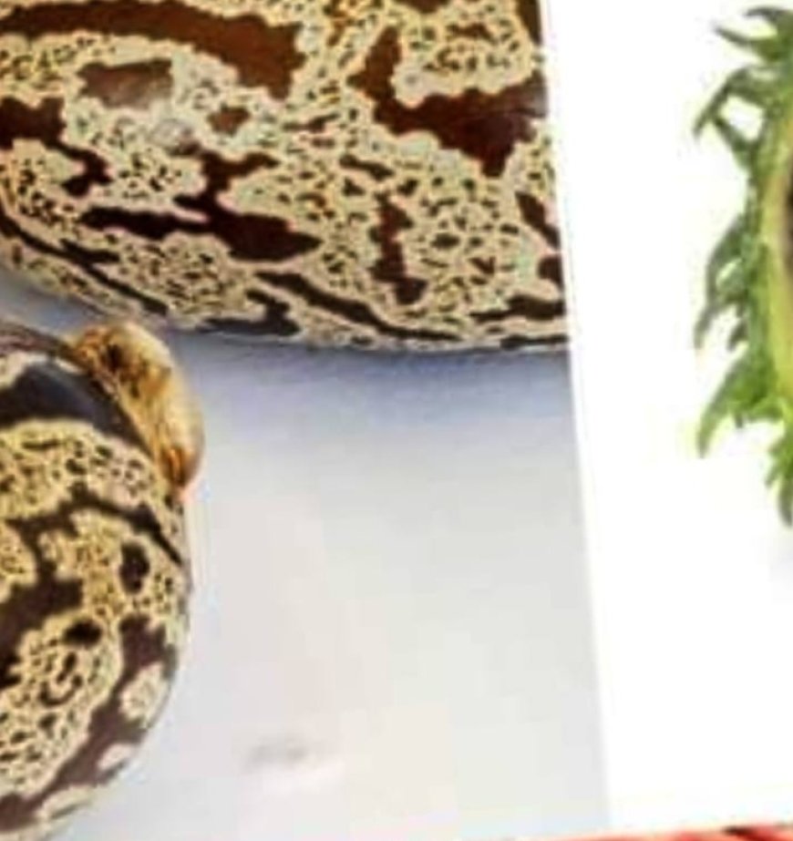 Title: Castor Oil: Discover the Transformative Effects After Just 7 Days