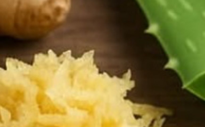 The Power of Ginger and Aloe Vera: A Natural Health Boost