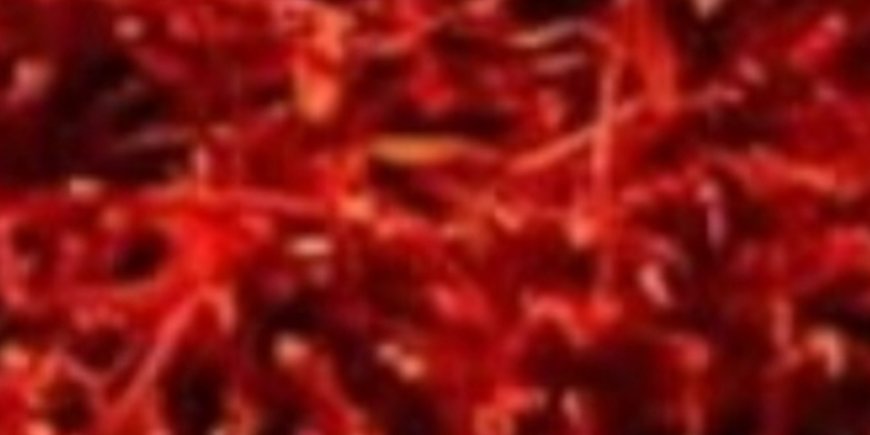 8 Powerful Herbs That Prevent and Kill Cancer (Backed by Science)