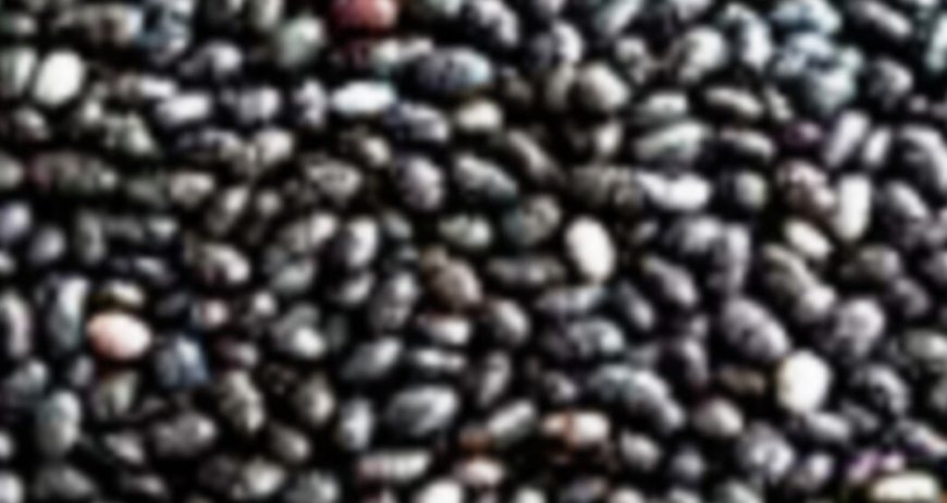 Shocking but Research-Proven Chia Seed Side Effects on Your Health