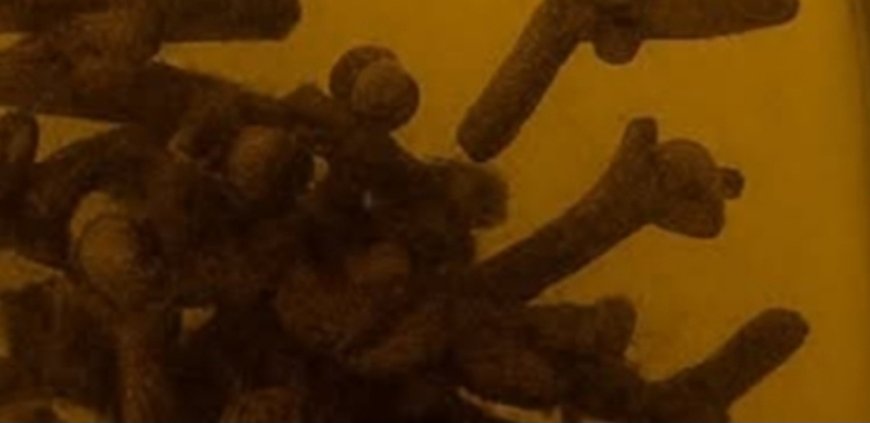 Unlock the Magic of Clove-Infused Baby Oil: 11 Irresistible Reasons to Use It Daily