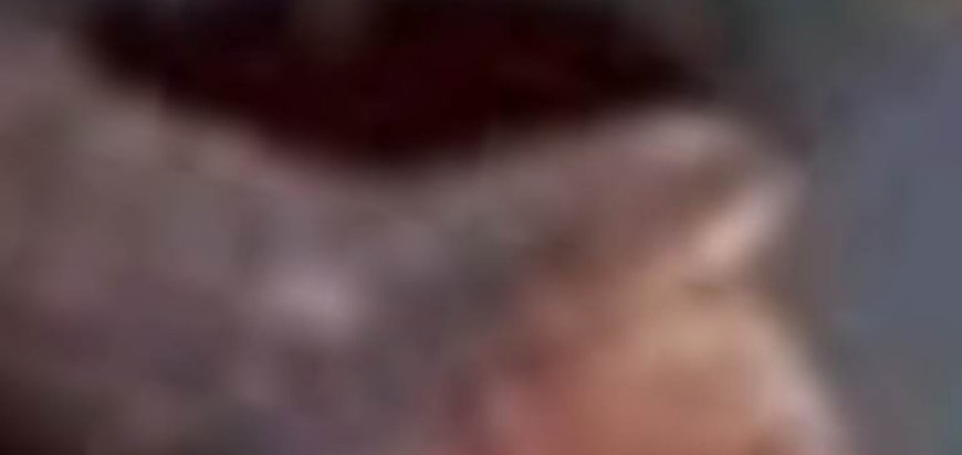 Ginger Clove Honey Surprising Health Benefits of This Natural