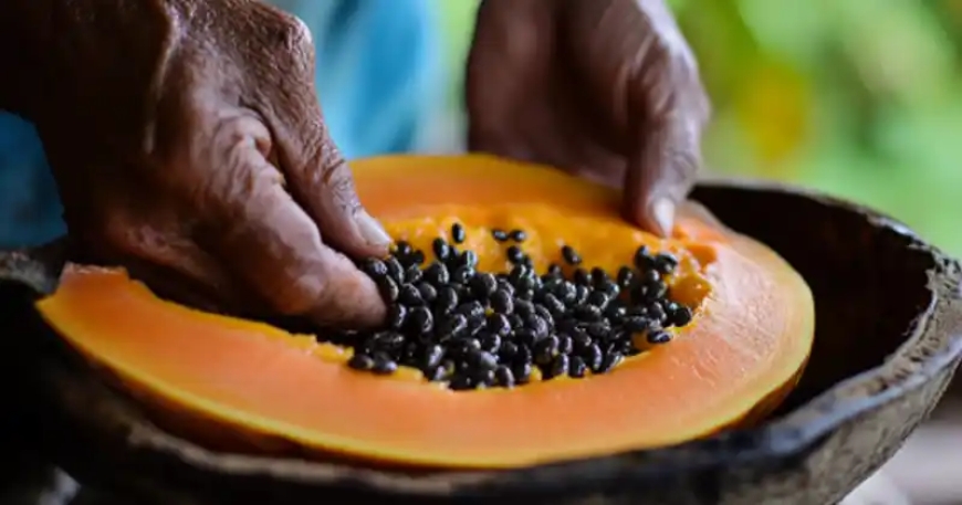 The Powerful Health Benefits of Papaya Seeds: Why You Should Include Them in Your Diet