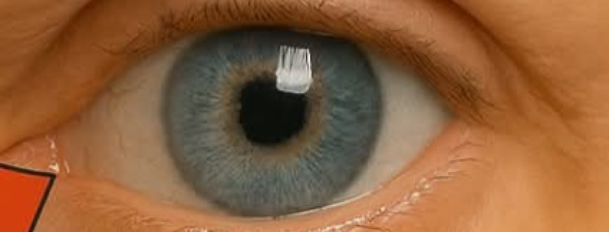 Unlock the Secret to Crystal-Clear Vision: 5 Leaves That Supercharge Your Eye Health