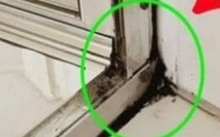 The Fastest Way to Get Rid of Shower Silicone Mildew