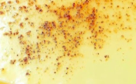 Old-Fashioned Custard Pie