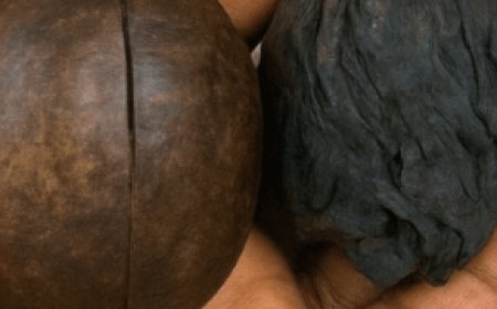 Unlock the Secret of Avocado Seeds: A Potent Natural Remedy for Vibrant Health