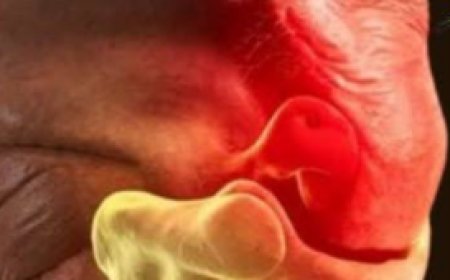 Don’t Ever Throw Away Eggshells Again After Reading This – You Won’t Believe How Useful They Are