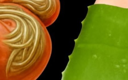 Unlock the Secret Power of Aloe Vera and Honey Natures Ultimate Bacteria and Fungi Fighter