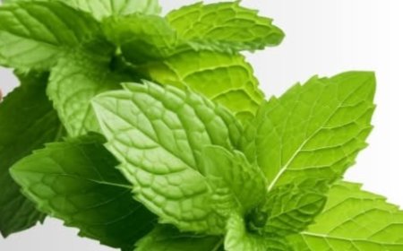 Say goodbye to bad breath with two natural ingredients