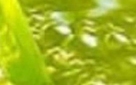 Ginger Tea – The Natural Blood Thinner