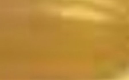 Harnessing the Power of Castor Oil and Apple Cider Vinegar for Your Health