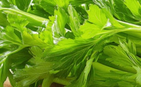 Cleanses the Liver 150 Times More Powerful Than Garlic and Lemon: Grandma’s Miracle Recipe