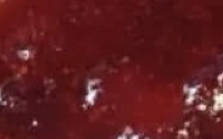 Christmas Jam Recipe A Festive Homemade Treat