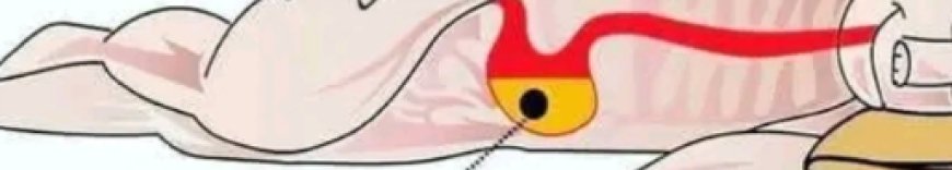 THIS Is Why You Should ALWAYS Sleep On The LEFT SIDE Of The Bed