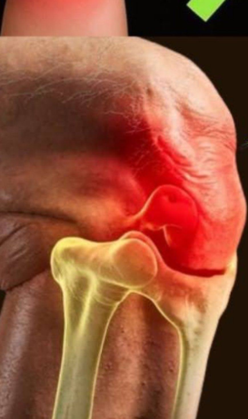 Don’t Ever Throw Away Eggshells Again After Reading This – You Won’t Believe How Useful They Are