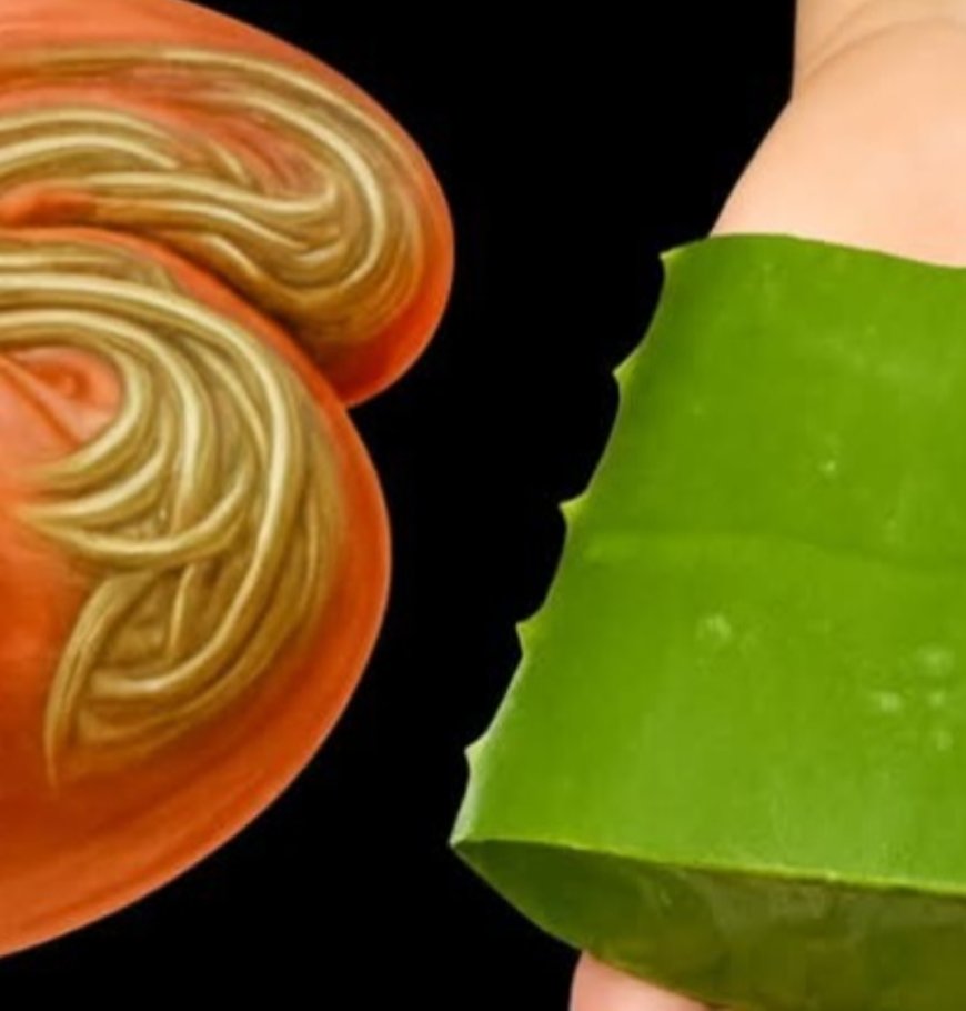 Unlock the Secret Power of Aloe Vera and Honey Natures Ultimate Bacteria and Fungi Fighter