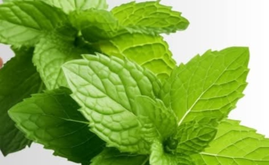 Say goodbye to bad breath with two natural ingredients