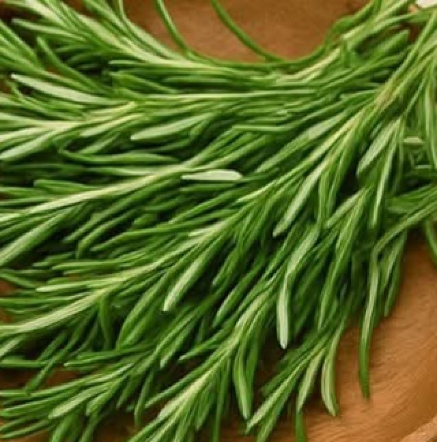 The Versatile Rosemary: Your Home’s Secret Weapon