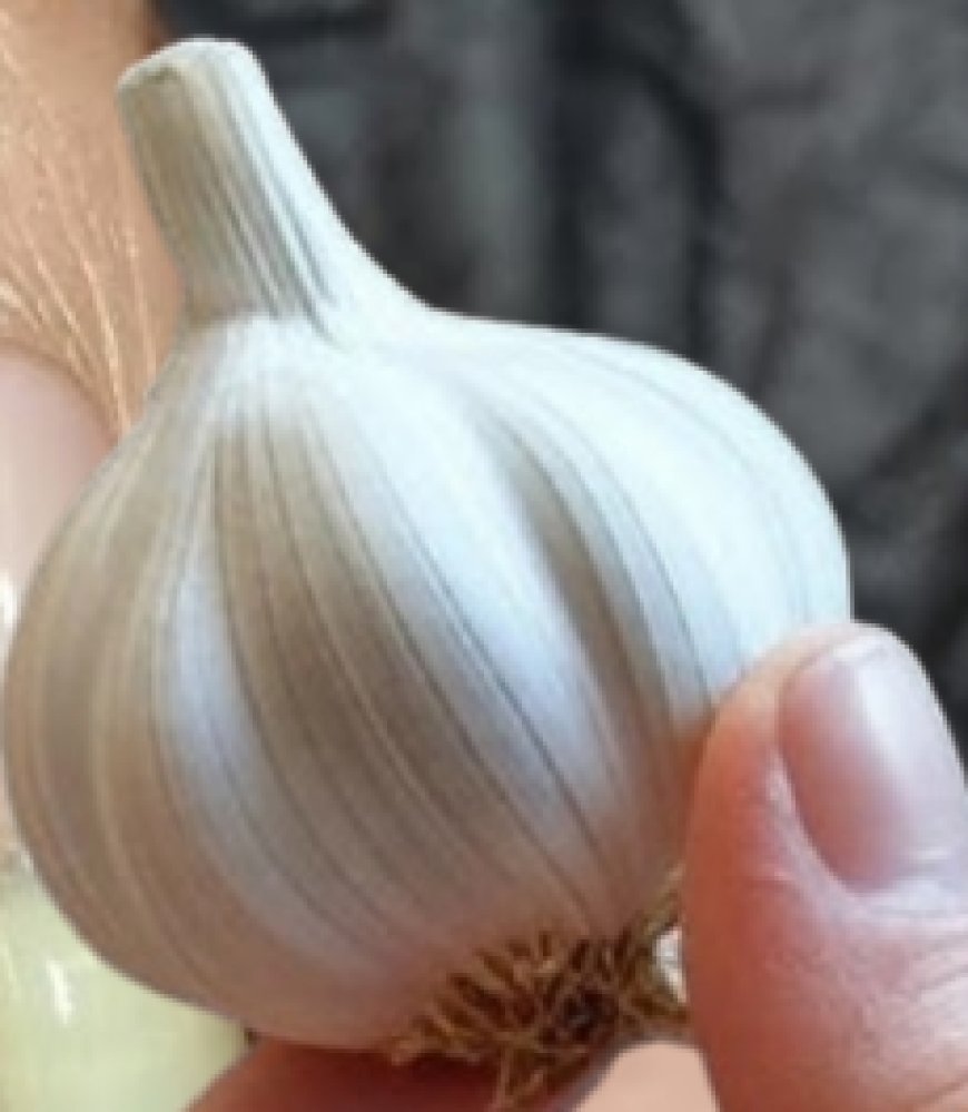 Revive Your Nails with This Garlic Secret