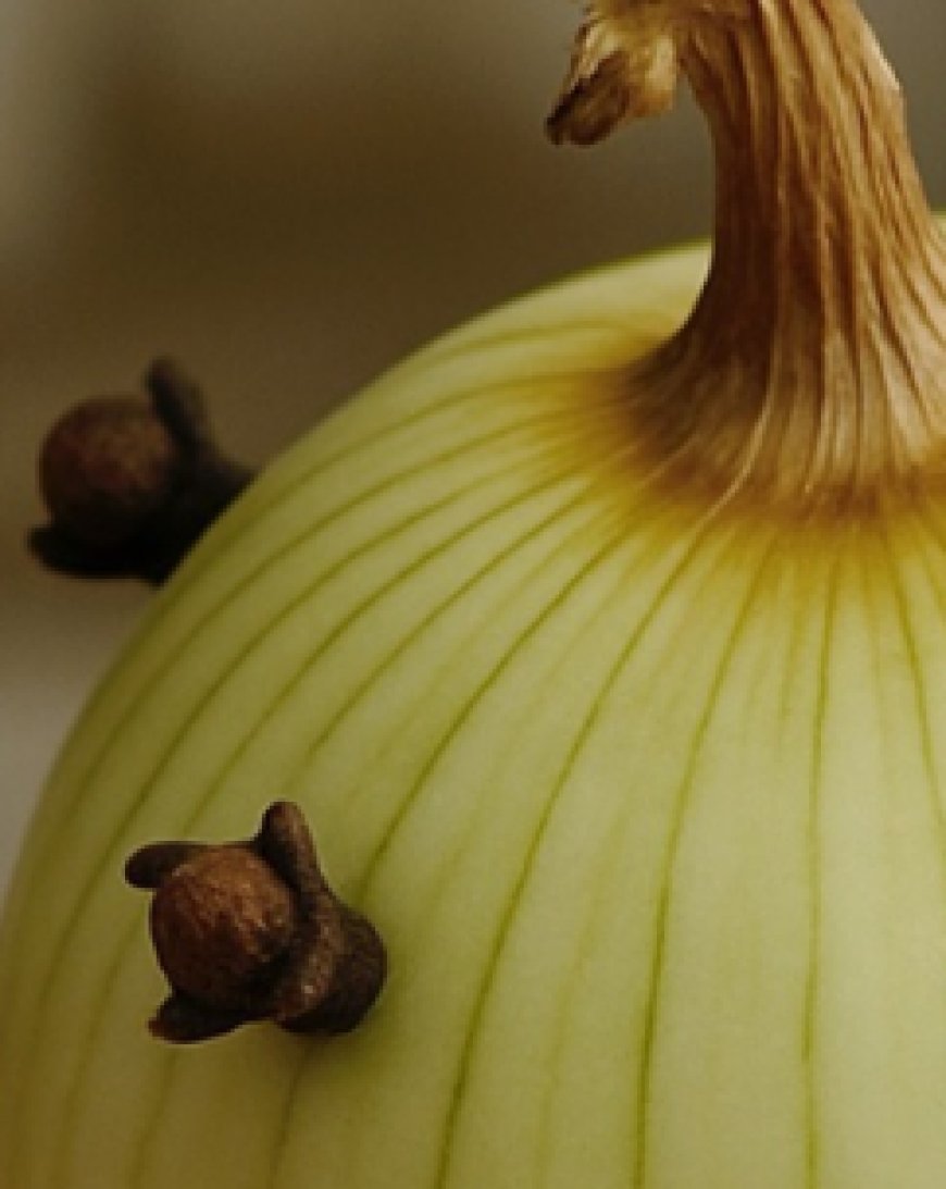 My grandmother always puts cloves in the onion and here’s why