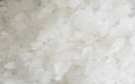 A Single Ingredient to Combat Bone Pain, Diabetes, Anxiety, Depression, and Constipation!