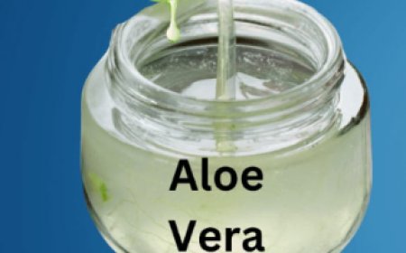 Mixing Aloe Vera Oil with Castor Oil is powerful for both hair and skin