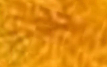 Dandelion: The Natural Detoxifier for Liver Health, Digestion, and Overall Wellness