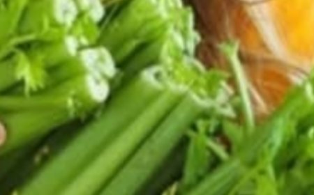 Celery Juice to Cleanse Kidneys, Liver, and Lungs