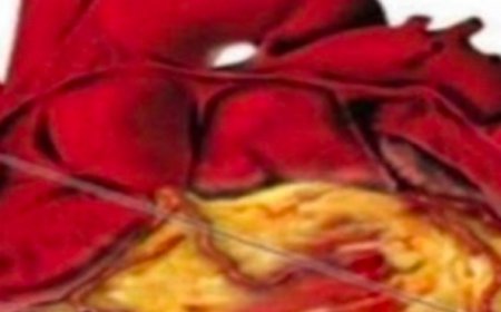 The Truth About Drinking Water First Thing in the Morning: Myths, Facts, and Benefits