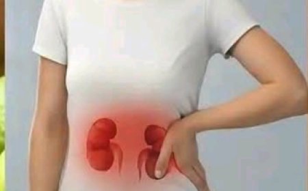 Benefits and Uses of Chayote Juice: A Refreshing Boost for Your Health