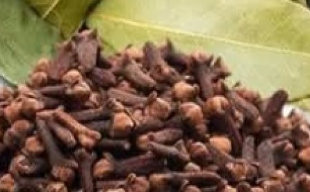 This 2-Ingredient Hack May Trigger Hair Regrowth in Just 30 Days!