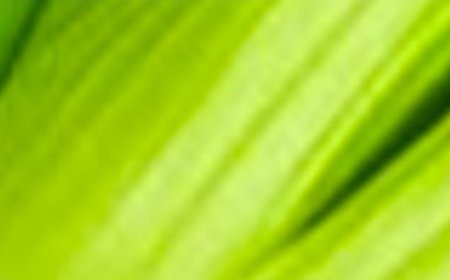 Cleanse Your Kidneys, Liver & Lungs – A Natural Bacteria Killer!