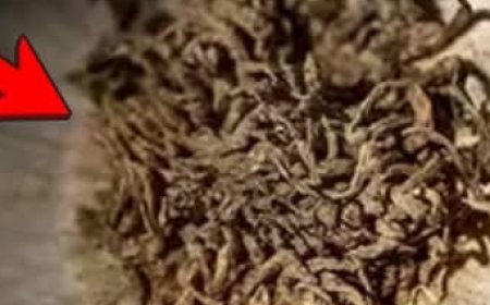 The One Ingredient That Could Protect You From Over 25 Health Threats