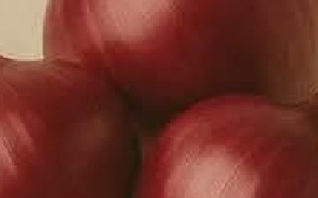 The Magic of Onions for Shedding Belly Fat