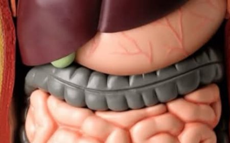 Cleanse Your Liver, Kidneys, and Intestines in Just 3 Days with This Natural Detox Drink