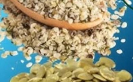 Seniors, 8 Pumpkin Seed Side Effects Your Doctor Is Praying You Don’t Discover!