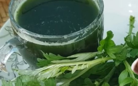 Bienfaits de l’absinthe pour les articulations, le goût, la respiration, la digestion, la peau et les plaies