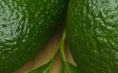 Healing Leaves That Support Your Wellness Naturally (No Harsh Meds Needed)