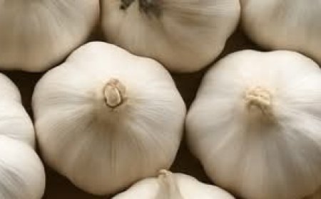 Un remède puissant pour nettoyer les poumons et les sinus.