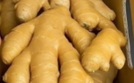 Parsley Made Me Look 20 Years Younger