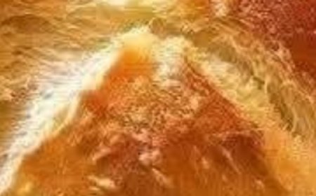 The Bread That Drives Everyone Crazy: No-Knead Garlic Bread Recipe