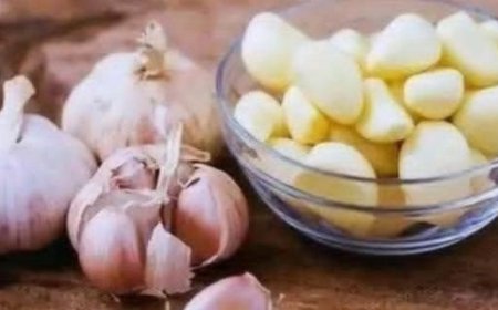 GARLIC KILLS 14 TYPES OF BACTERIA AND 13 TYPES OF INFECTIONS