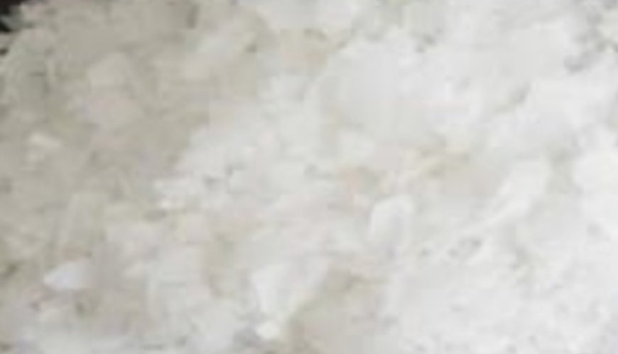 A Single Ingredient to Combat Bone Pain, Diabetes, Anxiety, Depression, and Constipation!