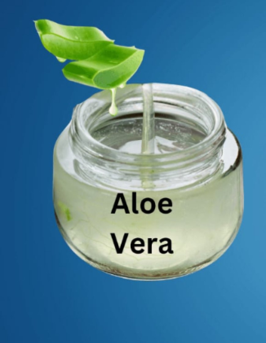 Mixing Aloe Vera Oil with Castor Oil is powerful for both hair and skin