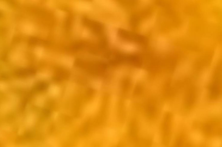 Dandelion: The Natural Detoxifier for Liver Health, Digestion, and Overall Wellness