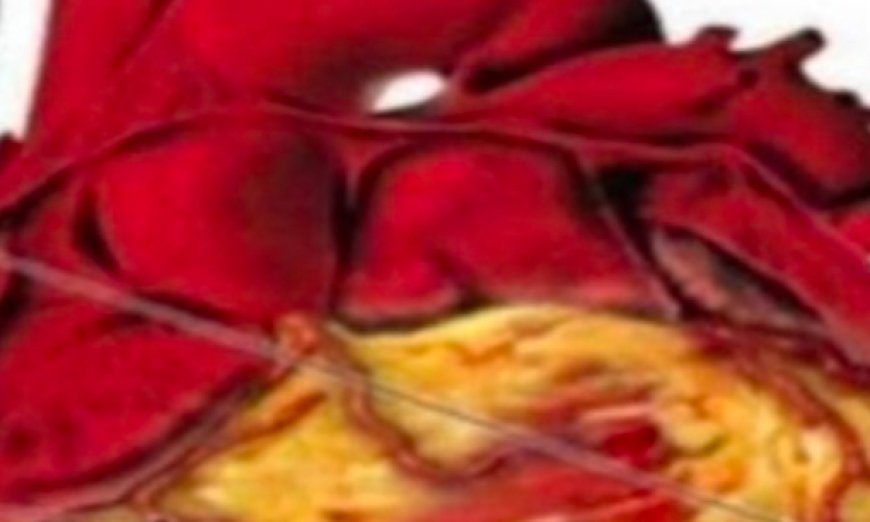 The Truth About Drinking Water First Thing in the Morning: Myths, Facts, and Benefits