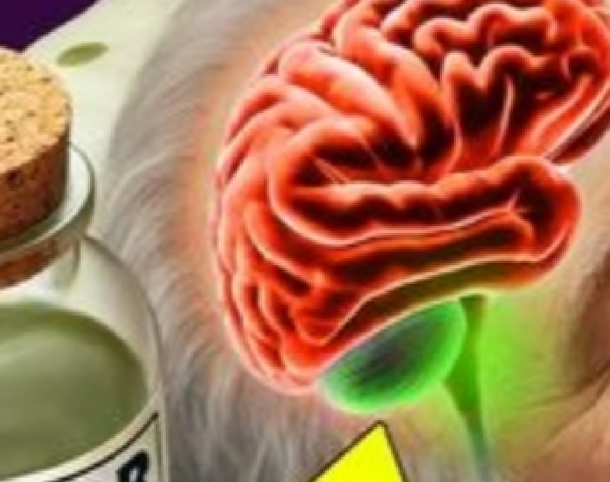 Experience the Beauty Benefits of Castor Oil