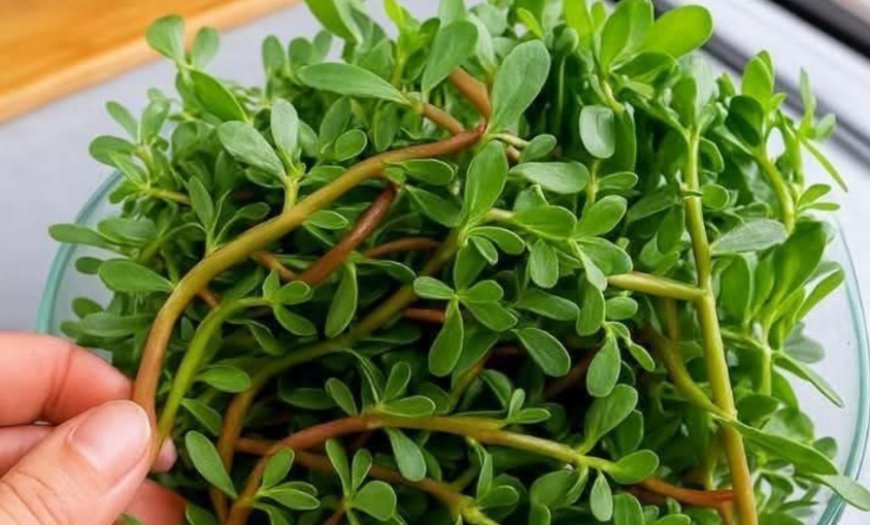 Say Goodbye to Joint Pain, Arthritis, and Rheumatism in Just 3 Days! Discover the Powerful Clove and Garlic Formula